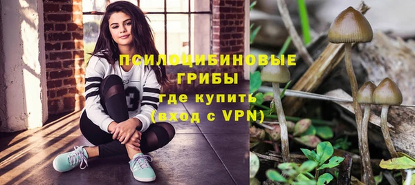 кокс Баксан