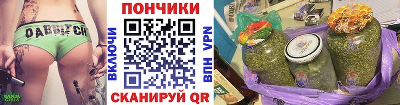 Бошки марихуана гибрид  Нерюнгри 